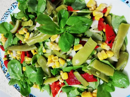 Yeşil Fasulyeli Semizotu Salatası